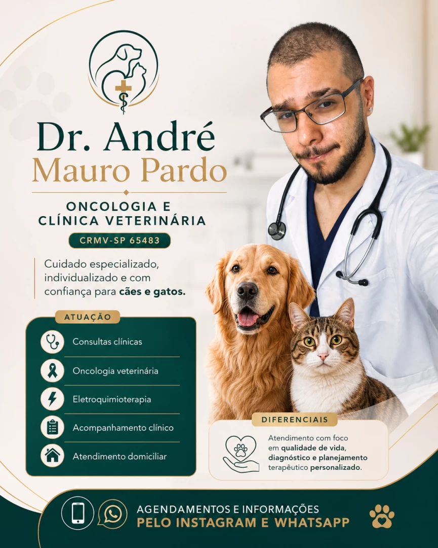 Tudoem Ilhabela