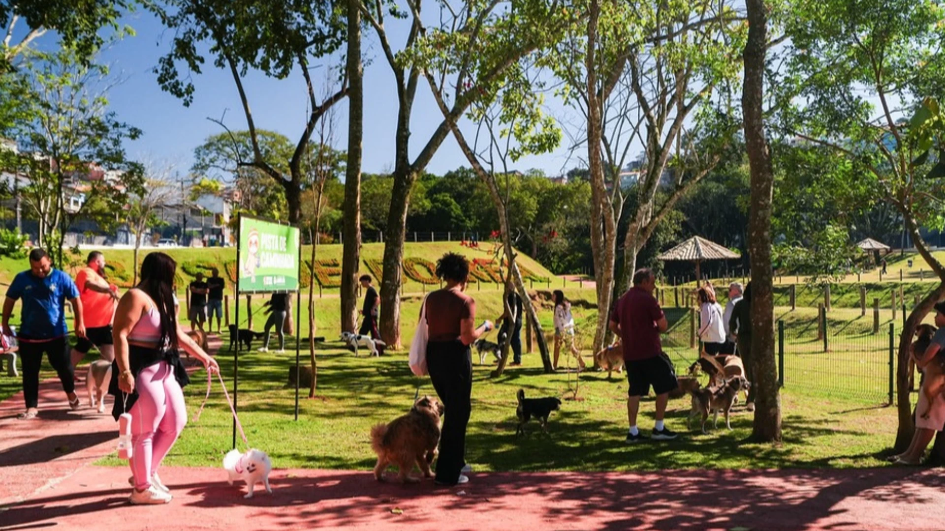 2º Aulão Coletivo de Adestramento