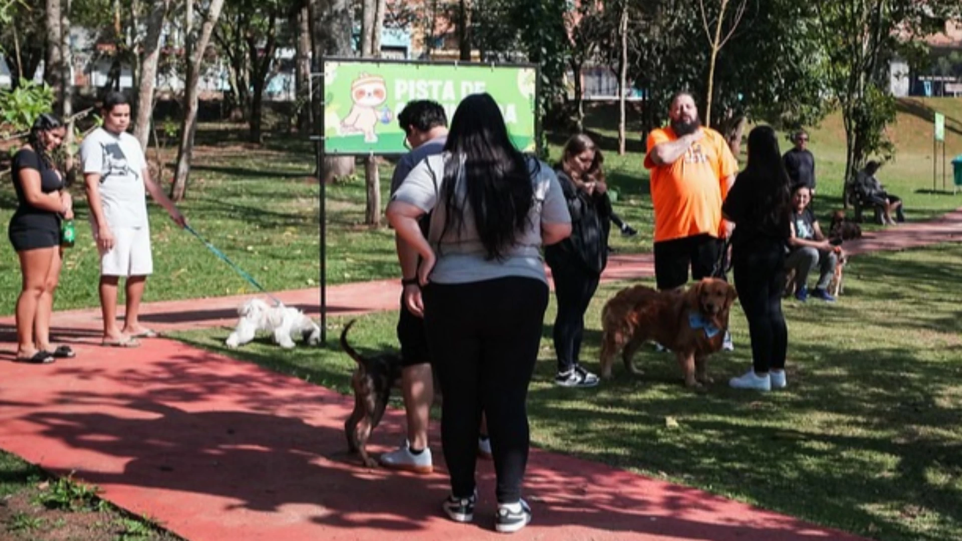 3º Aulão Coletivo de Adestramento Canino